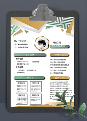 多彩创意市场销售总监求职简历模板