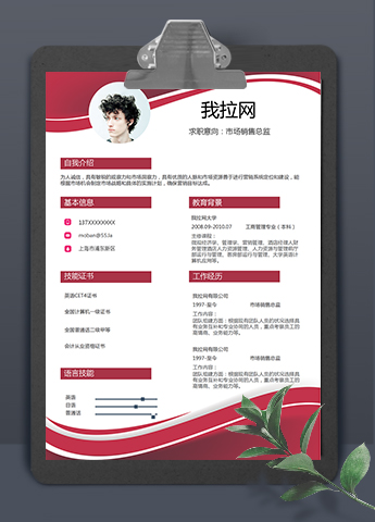 红色曲线风格市场销售总监求职简历模板