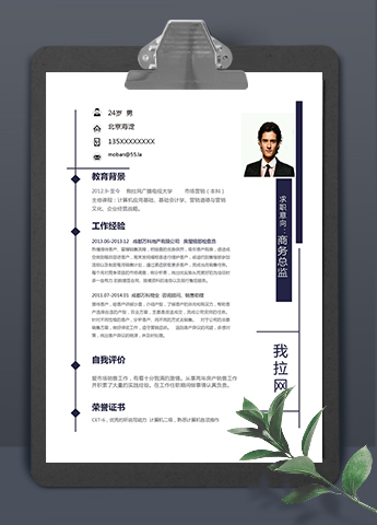 简洁美观风格商务总监个人简历模板