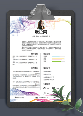 简约彩线风市场销售总监个人简历模板