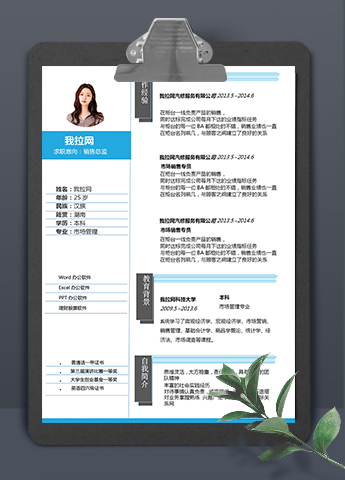 简约灰蓝线条销售总监简历求职简历Word模板