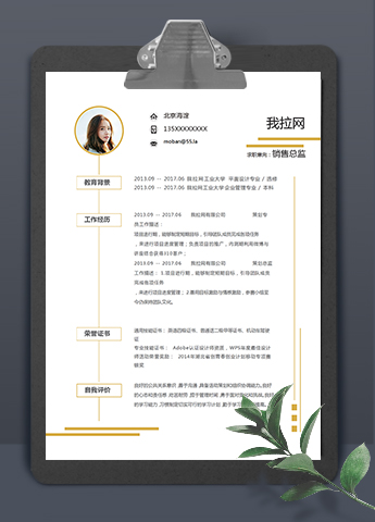 金黄简约大气风格销售总监简历模板