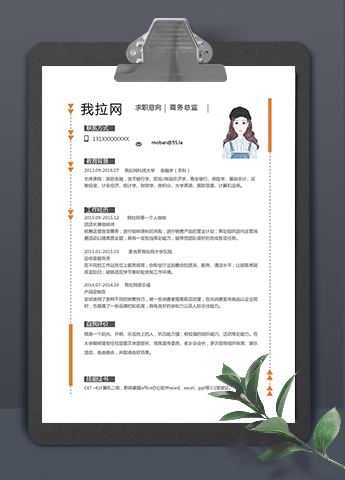 橘色简约大方风格商务总监简历模板