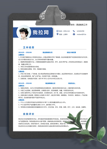 蓝色时尚大气渠道销售3到5年工作经验简历模板