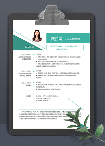 绿色简约几何风商务总监简历模板