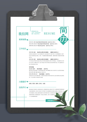 绿色线框简洁大方风格商务总监简历模板