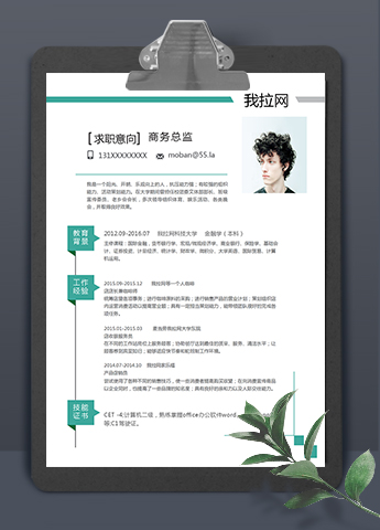 绿条简约风格商务总监个人简历模板