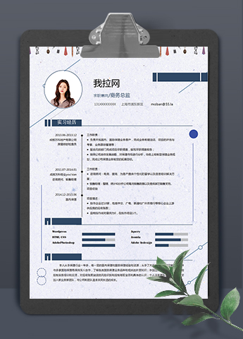 浅紫精美风格商务总监个人求职简历模板