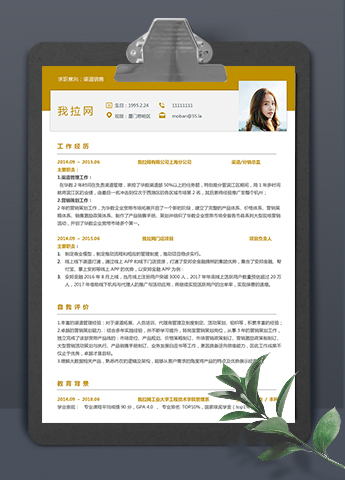 土黄色大方美观风格渠道销售个人简历模板