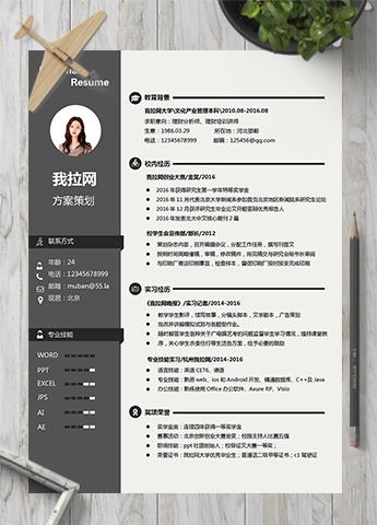 稳重大气商务风方案策划活动策划简历