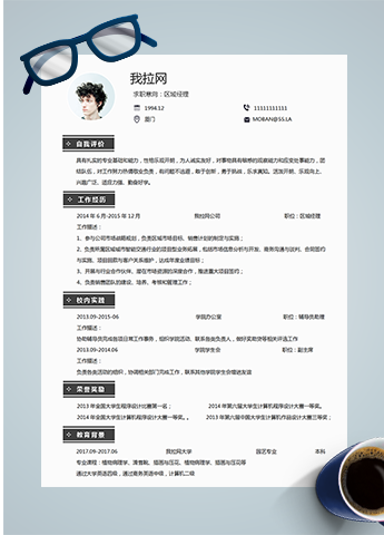 灰色简约风区域总监word简历模板