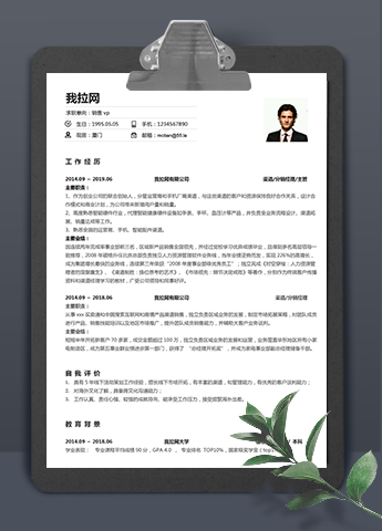 白色简单风销售vp个人简历模板