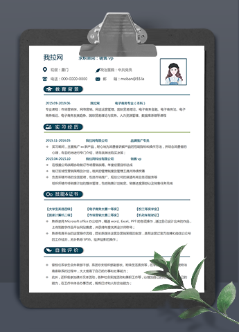 蓝绿色简约销售vp个人简历模板