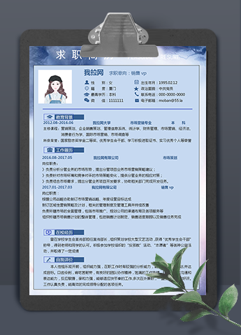 蓝色商务销售vp个人简历模板