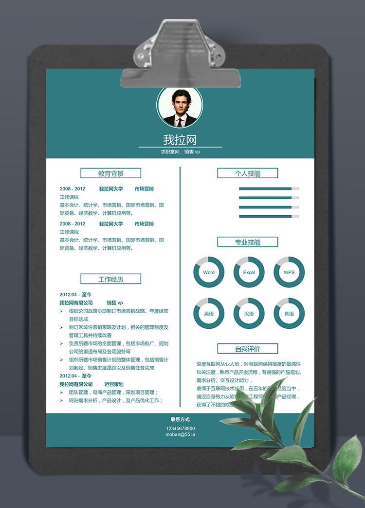 绿色系简洁风销售vp个人简历模板