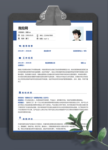 深蓝色系销售vp个人简历模板