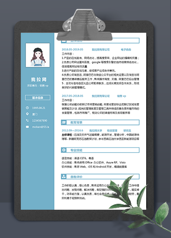 蔚蓝色销售vp个人简历模板