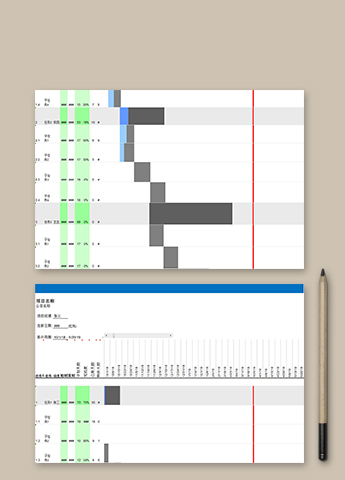 公司项目任务完成情况表