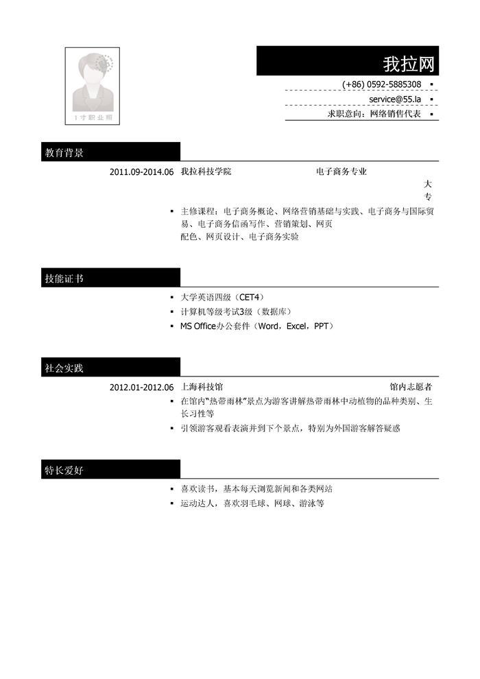 网络销售代表个人简历模板