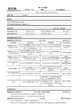 技术顾问简历模板（突出项目经历）