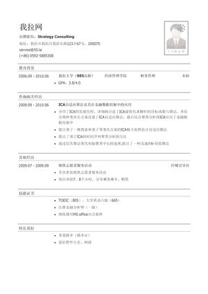 四大会计师事务所咨询简历模板