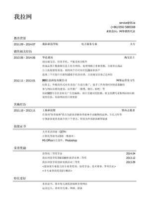网络销售代表岗位个人简历模板
