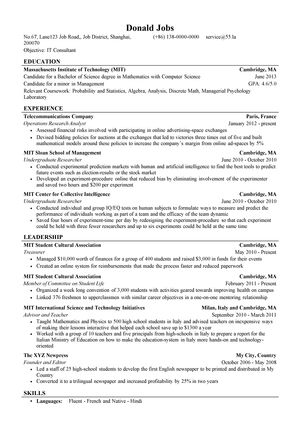 IT运营咨询英文简历模板