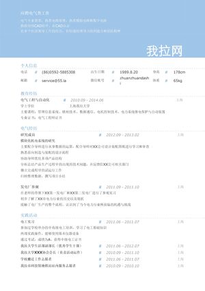 电气初级技术岗位简历模板