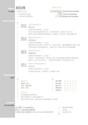 外贸专员简历模板（图形化创意简历模板）