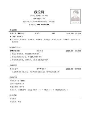 四大会计师事务所税务简历模板