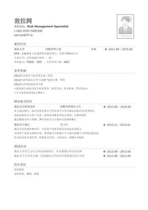 四大会计师事务所风险管理岗简历模板（有荣誉奖励）