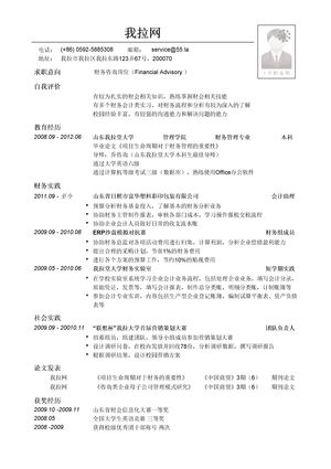 财务咨询简历模板